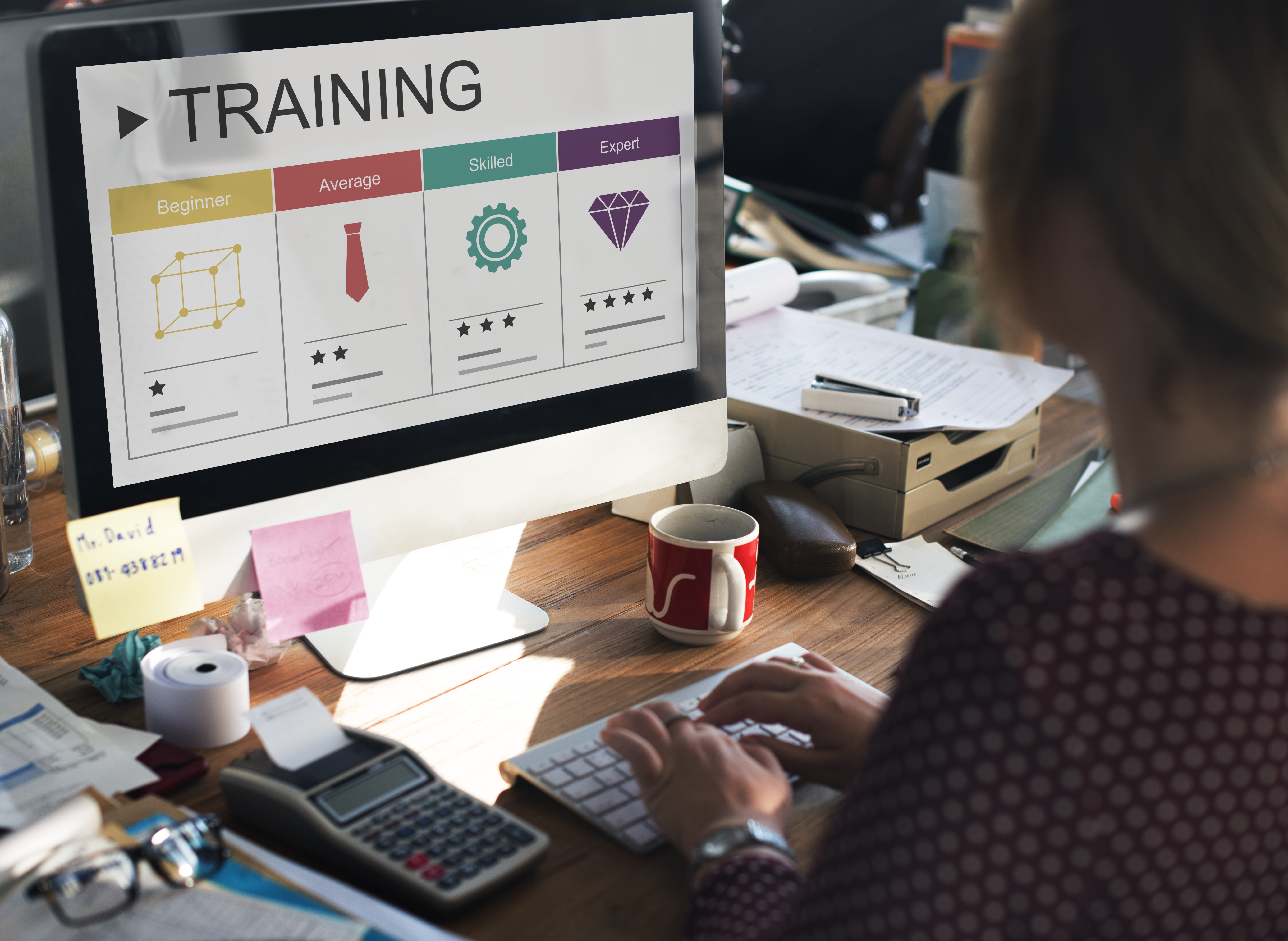 VMeX Training