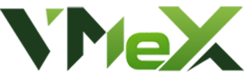 VMeX Logo